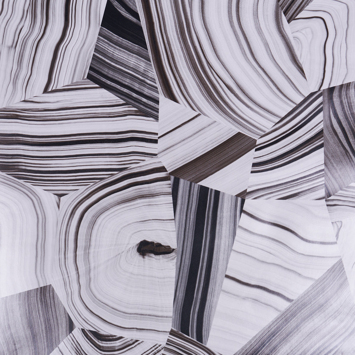Monochrome agate slice with black and white curved banding.