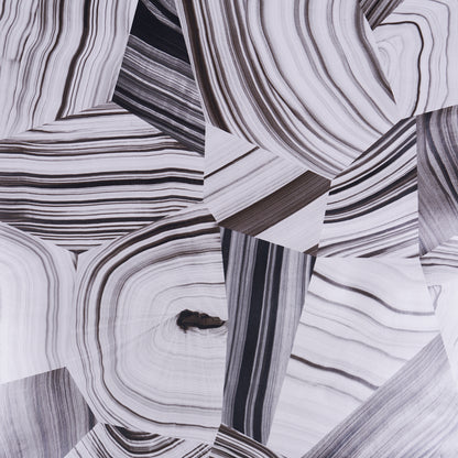 Monochrome agate slice with black and white curved banding.