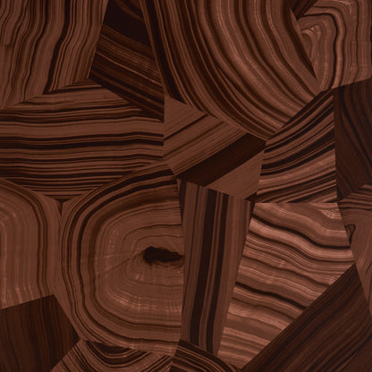 SCHUMACHER  MILES REDD AGATE SLICE   TIGERS EYE   - 5013893