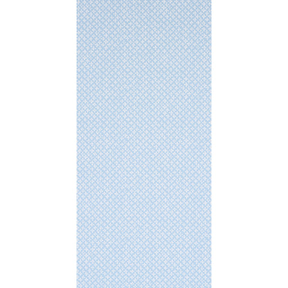 Ivory on sky fabric with a tiny floral pattern