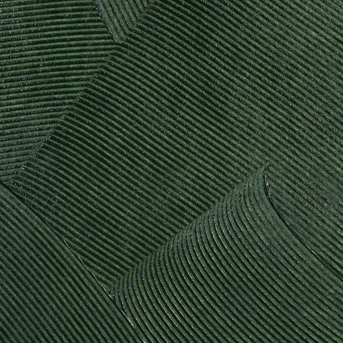 SCHUMACHER  DAVID KAIHOI HAND COMBED PLASTER   GREEN LEAF   - 5013952