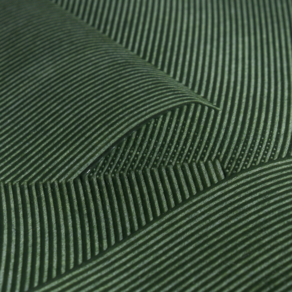 SCHUMACHER  DAVID KAIHOI HAND COMBED PLASTER   GREEN LEAF   - 5013952