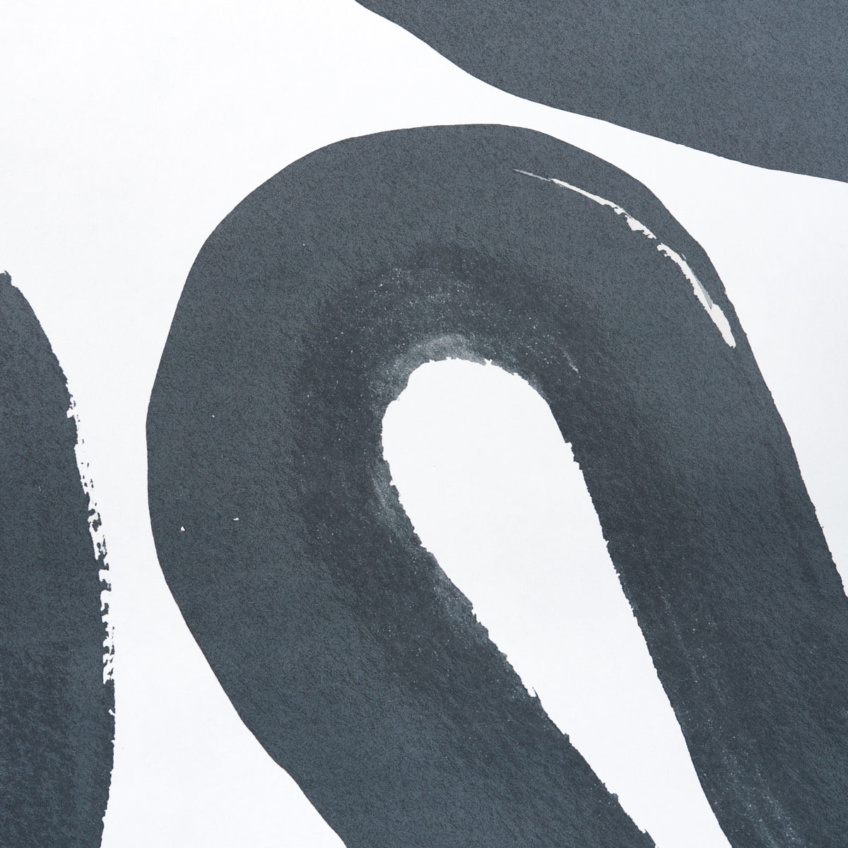 SCHUMACHER  NEW WAVE: BLACK & WHITE TRACE   CARBON   - 5013990