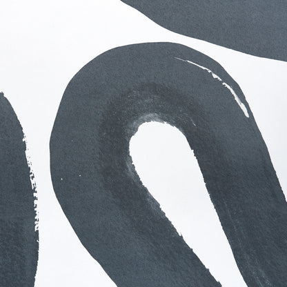 SCHUMACHER  NEW WAVE: BLACK & WHITE TRACE   CARBON   - 5013990