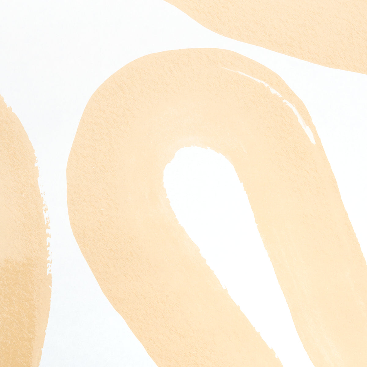 SCHUMACHER  HADIYA WILLIAMS TRACE   OCHRE   - 5013993