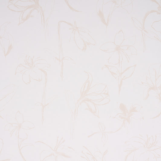 SCHUMACHER  HERA FORD CLOSE YOUR EYES AND REMEMBER   LIGHT NEUTRAL   - 5014081