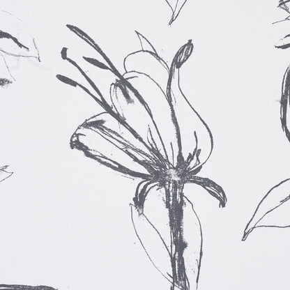 Monochrome pencil botanical sketch of a lily-like flower with elongated petals and prominent stamens in slate.
