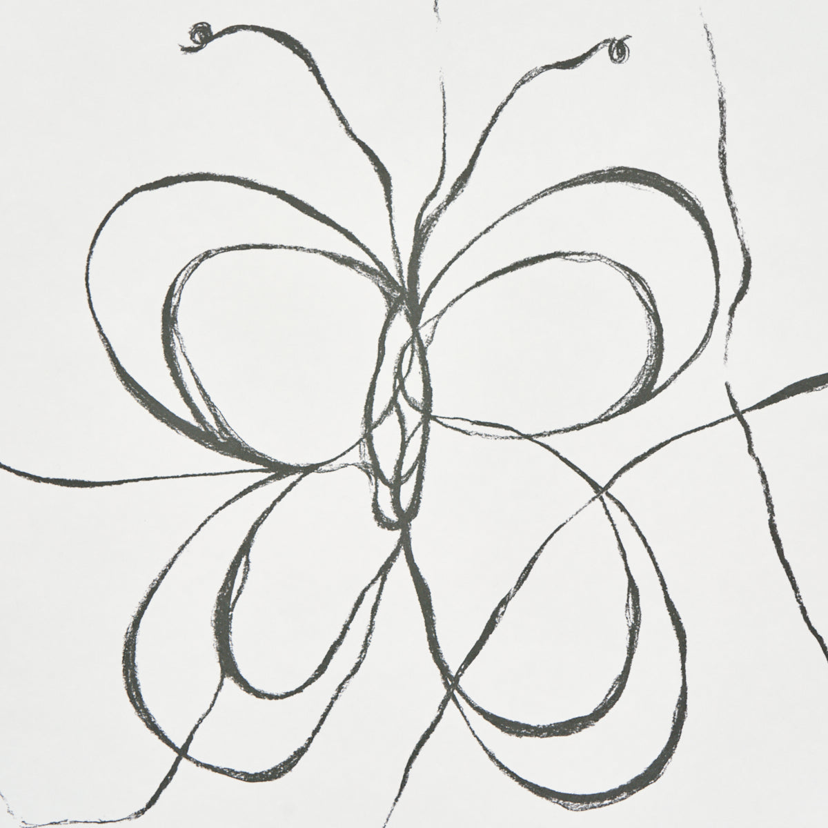 SCHUMACHER  HERA FORD COME BACK AS A FLOWER   SOFT BLACK   - 5014090