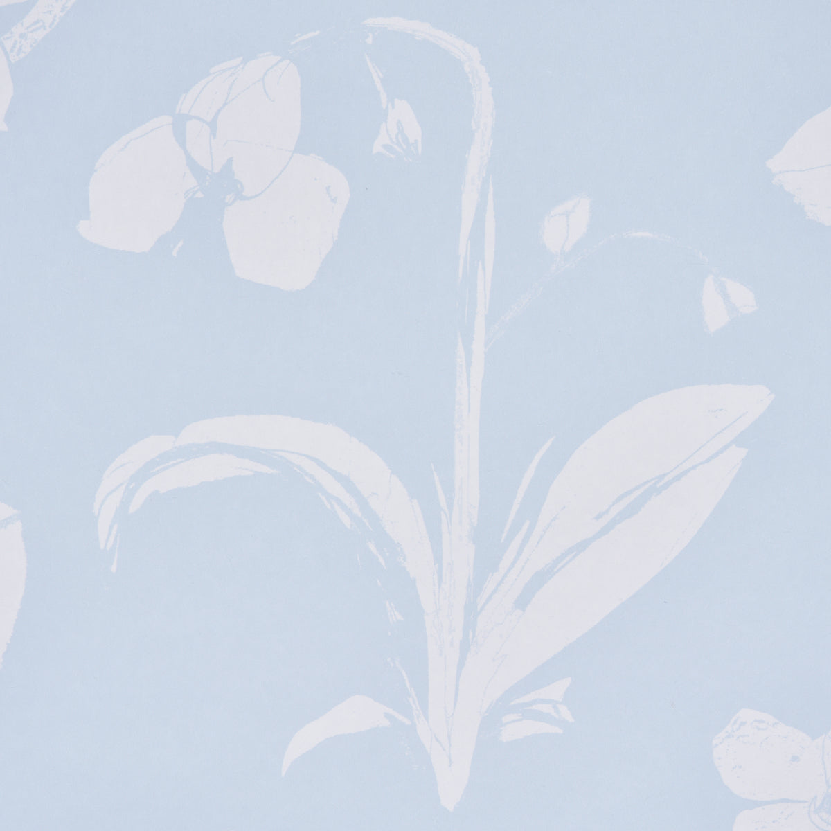 Pale blue wallpaper with white floral silhouettes in a botanical pattern.