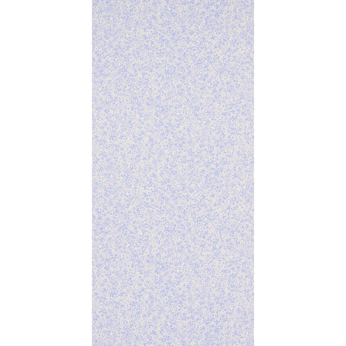 SCHUMACHER  BACKDROP SUPERBLOOM   CORNFLOWER   - 5014200