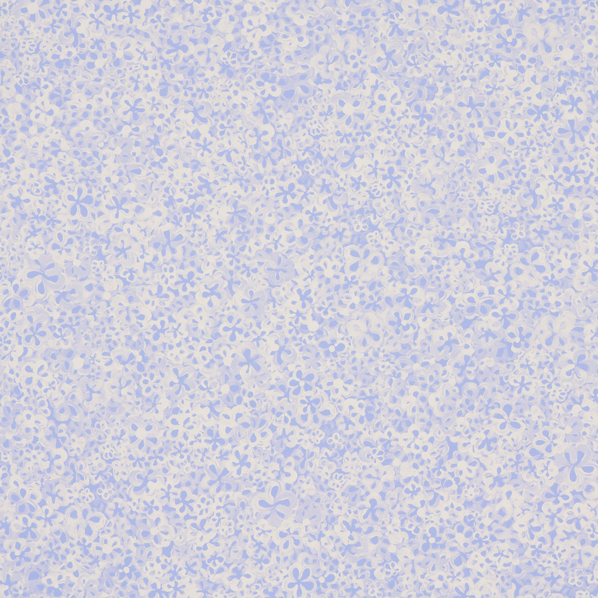 SCHUMACHER  BACKDROP SUPERBLOOM   CORNFLOWER   - 5014200