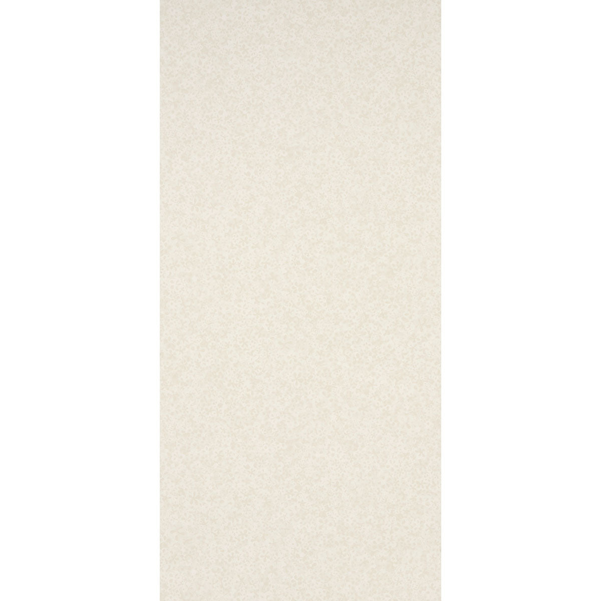 SCHUMACHER  BACKDROP SUPERBLOOM   CLOUD   - 5014202