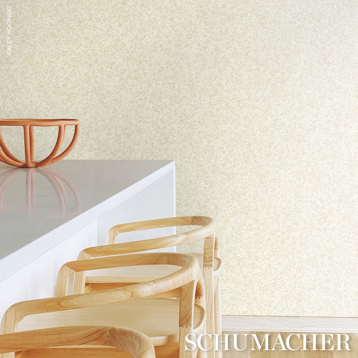 SCHUMACHER  BACKDROP SUPERBLOOM   CLOUD   - 5014202