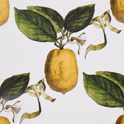 SCHUMACHER  JOHNSON HARTIG LE CITRON   IVORY   - 5014280