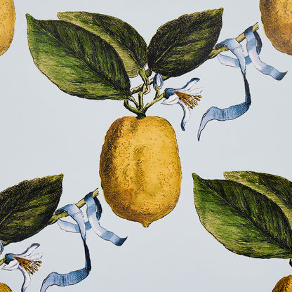 SCHUMACHER  JOHNSON HARTIG LE CITRON   SKY   - 5014281