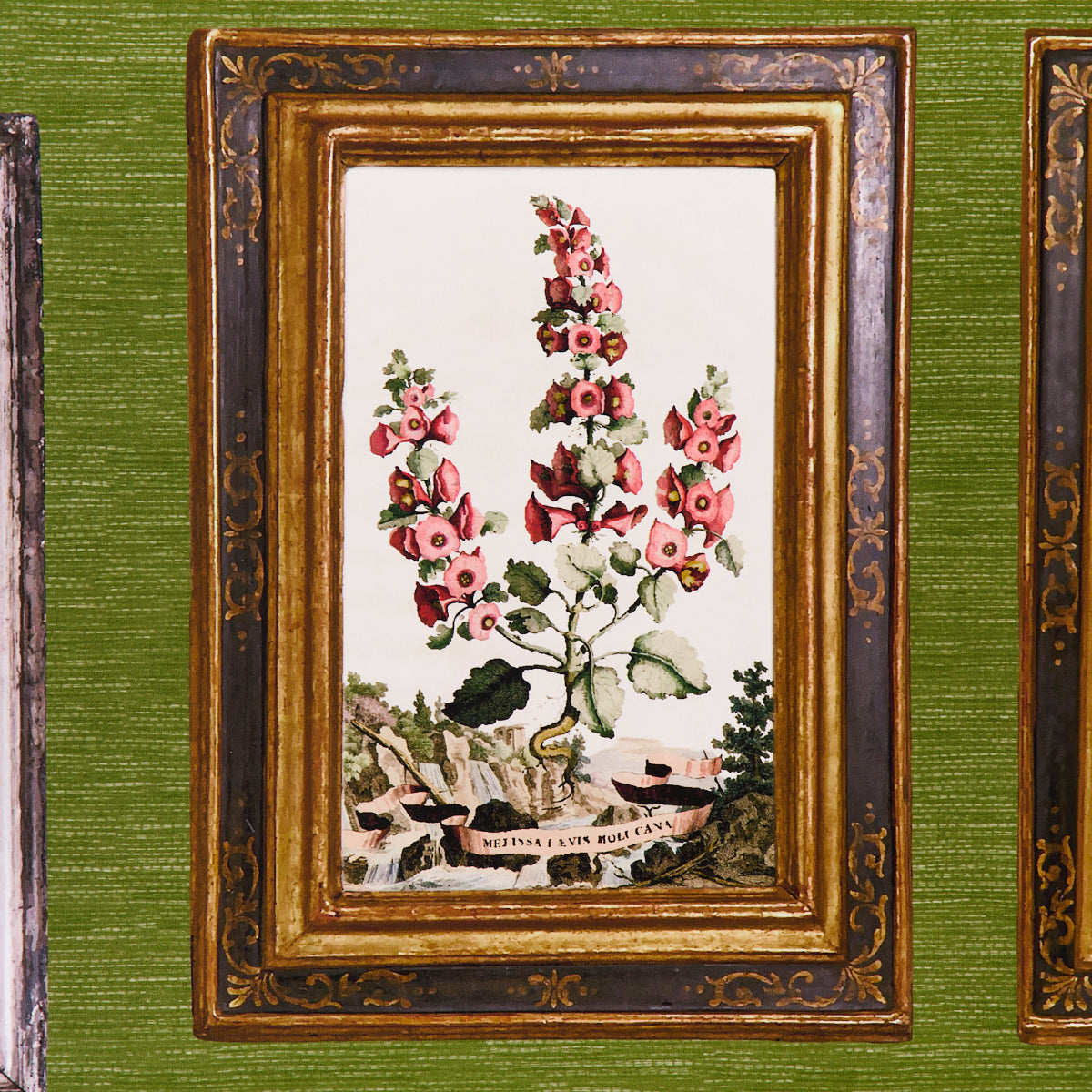 SCHUMACHER WALLCOVERING  JOHNSON HARTIG LE GRAND TOUR   ENGLISH GREEN   - 5014292