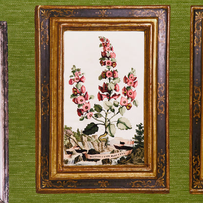 SCHUMACHER WALLCOVERING  JOHNSON HARTIG LE GRAND TOUR   ENGLISH GREEN   - 5014292