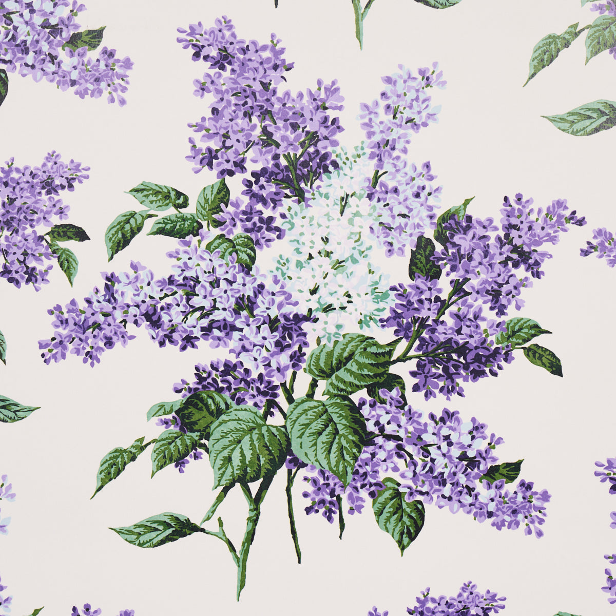 SCHUMACHER WALLCOVERING  JOHNSON HARTIG PROUST'S LILACS   PURPLE   - 5014310