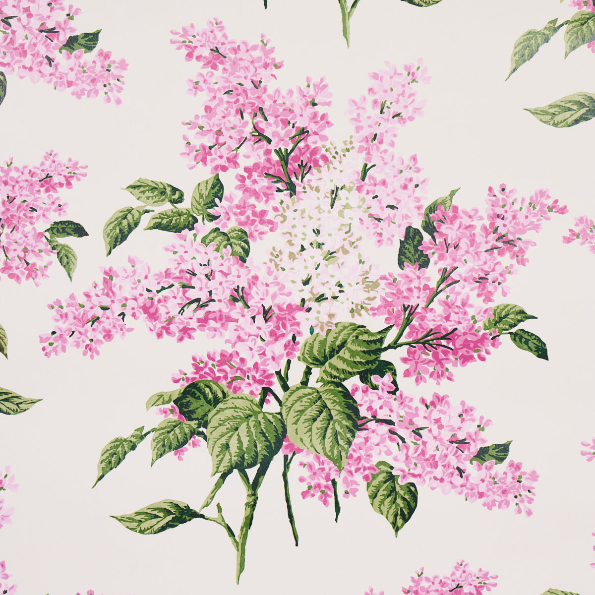 SCHUMACHER  JOHNSON HARTIG PROUST'S LILACS   PINK   - 5014312