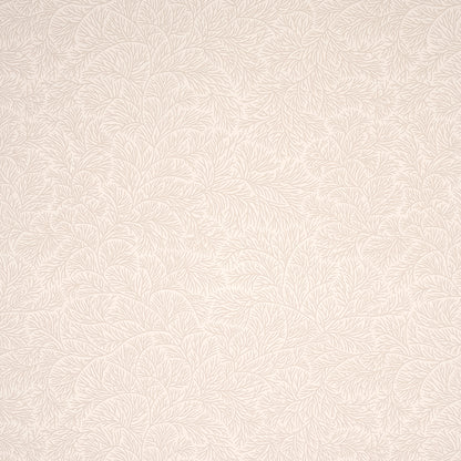 SCHUMACHER  MARK D. SIKES BOUGAINVILLEA   NEUTRAL   - 5014332