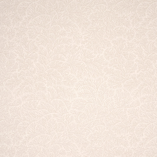 SCHUMACHER  MARK D. SIKES BOUGAINVILLEA   NEUTRAL   - 5014332