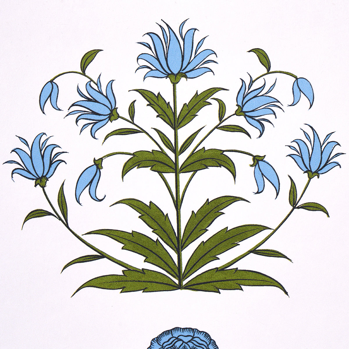 Blue botanical illustration with a tall central stem, multiple blue flowers and green serrated leaves in vintage style.