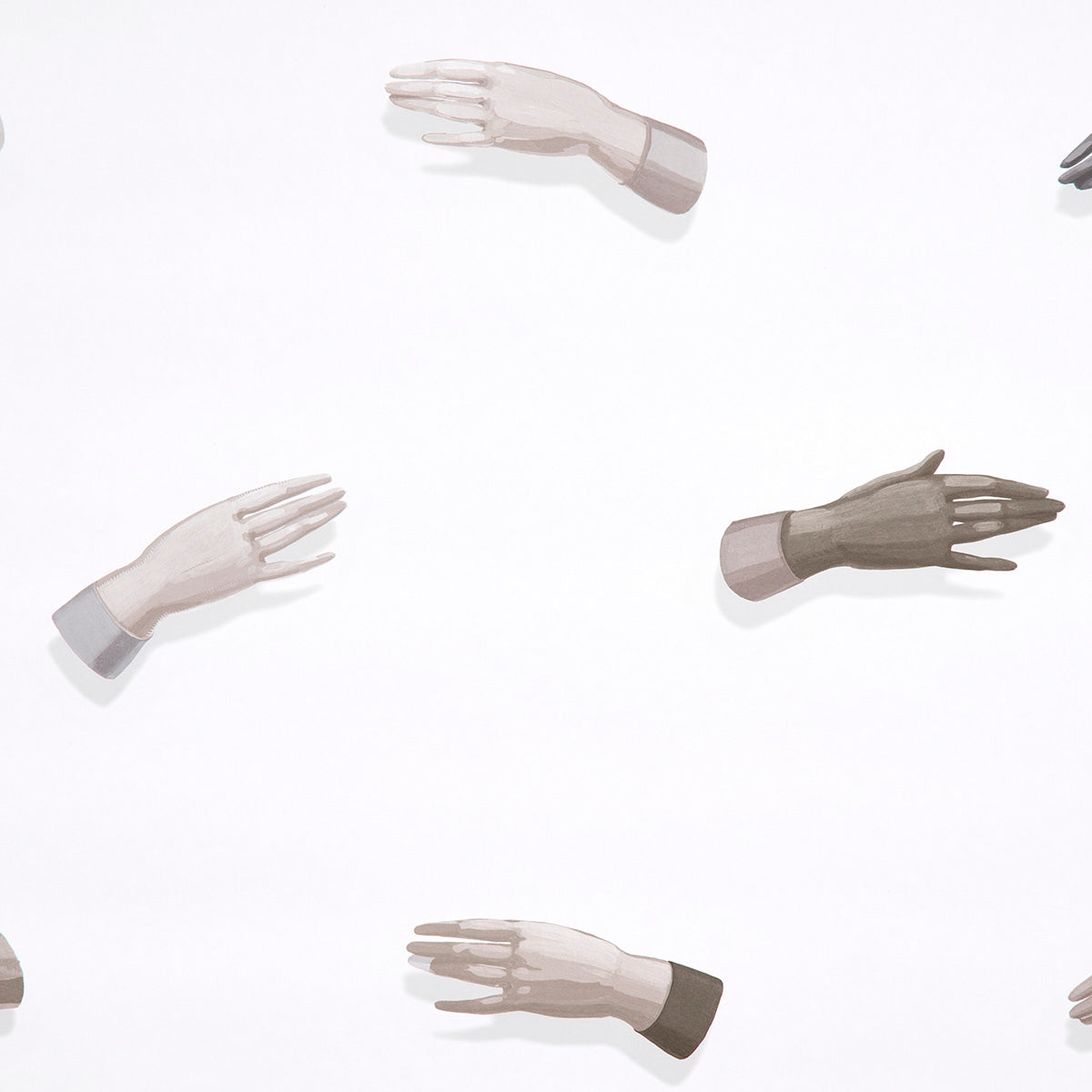 SCHUMACHER  CHARLAP HYMAN & HERRERO MANOS   NEUTRAL   - 5014481