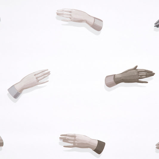 SCHUMACHER  CHARLAP HYMAN & HERRERO MANOS   NEUTRAL   - 5014481