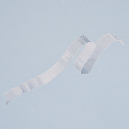 SCHUMACHER  CHARLAP HYMAN & HERRERO BETH   BLUE   - 5014501