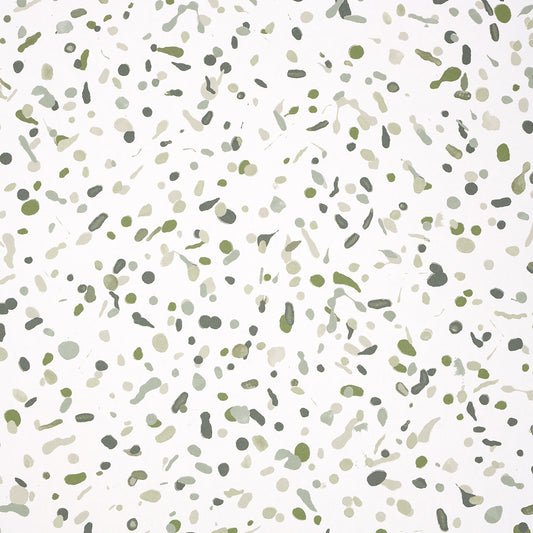 SCHUMACHER  BACKDROP LOS COSMOS   MOSS   - 5014561