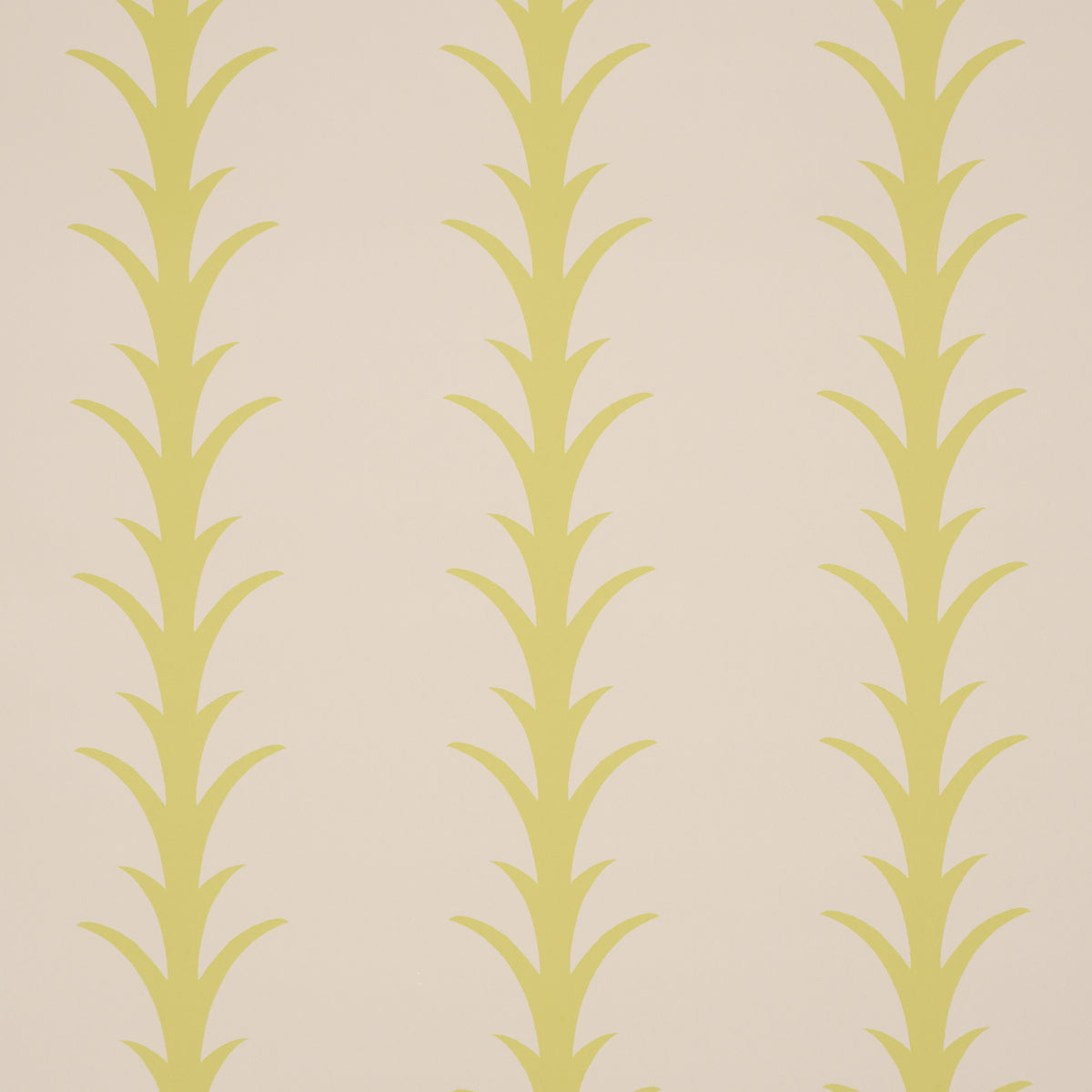 SCHUMACHER  ATELIER PARIS ACANTHUS STRIPE   Soleil On Sand   - 5014775