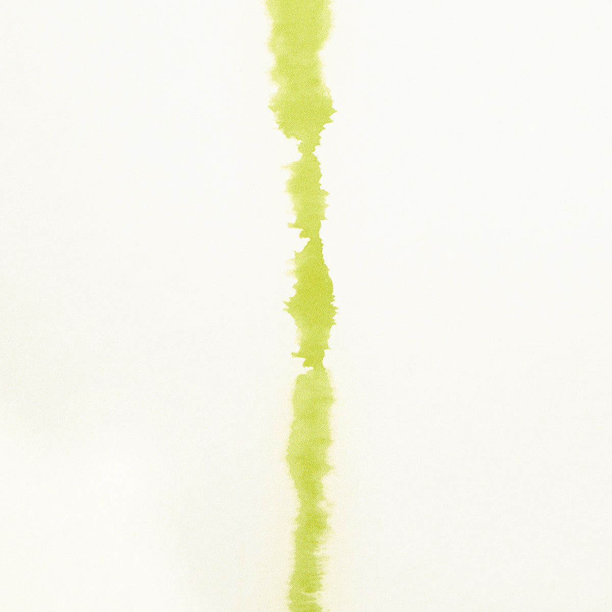 SCHUMACHER  BACKDROP EPHEMERA   CHARTREUSE   - 5014871