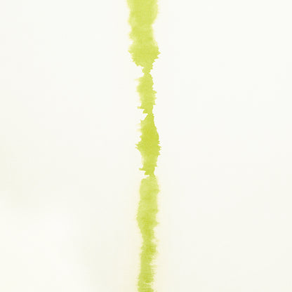 SCHUMACHER  BACKDROP EPHEMERA   CHARTREUSE   - 5014871