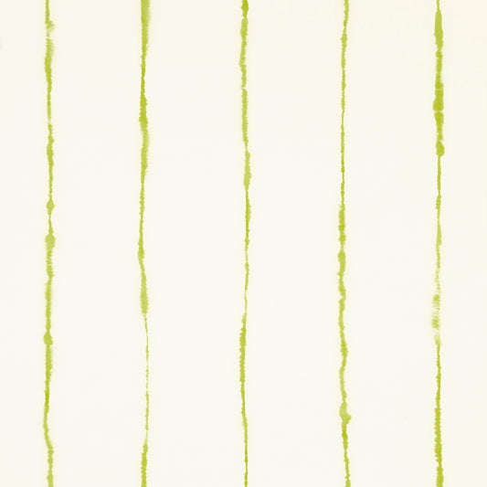 SCHUMACHER  BACKDROP EPHEMERA   CHARTREUSE   - 5014871