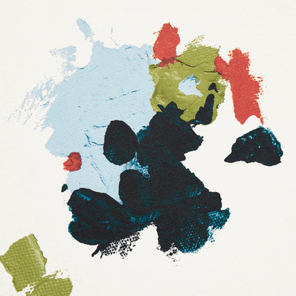 SCHUMACHER X BACKDROP FAIRFARREN   SOFT MULTI   - 5014881