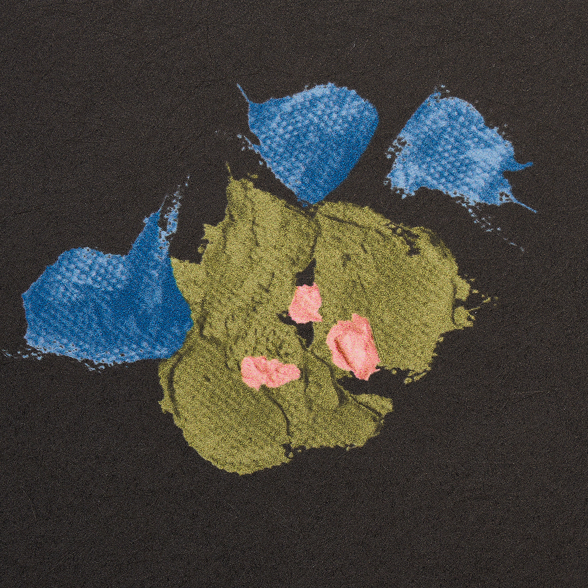 SCHUMACHER  BACKDROP FAIRFARREN   DARK MULTI   - 5014883