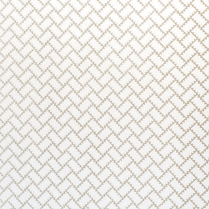 Silver fabric with a parterre lattice pattern, close-up of woven upholstery textile.