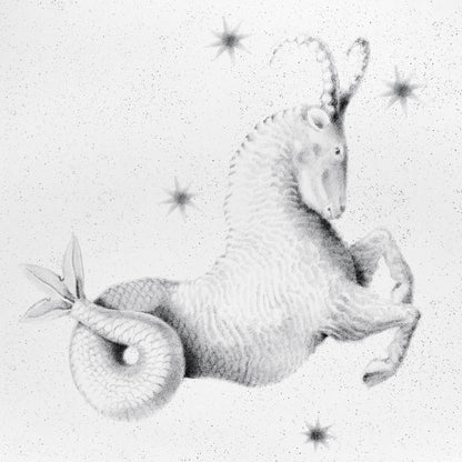 Gray engraving-style mythical creature: horse-like body with a spiral ammonite tail, antennae horns, starry backdrop.