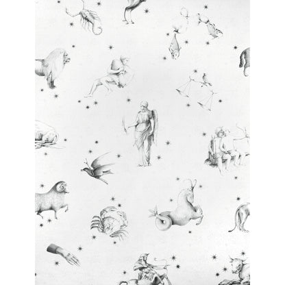 Pencil-sketch celestial motifs: animals, mythic figures and stars on a pale background pattern.