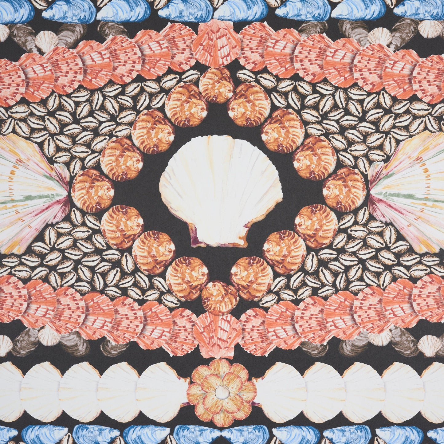 Central white scallop shell surrounded by concentric bands of orange, gray and white shells in a mandala-like pattern.