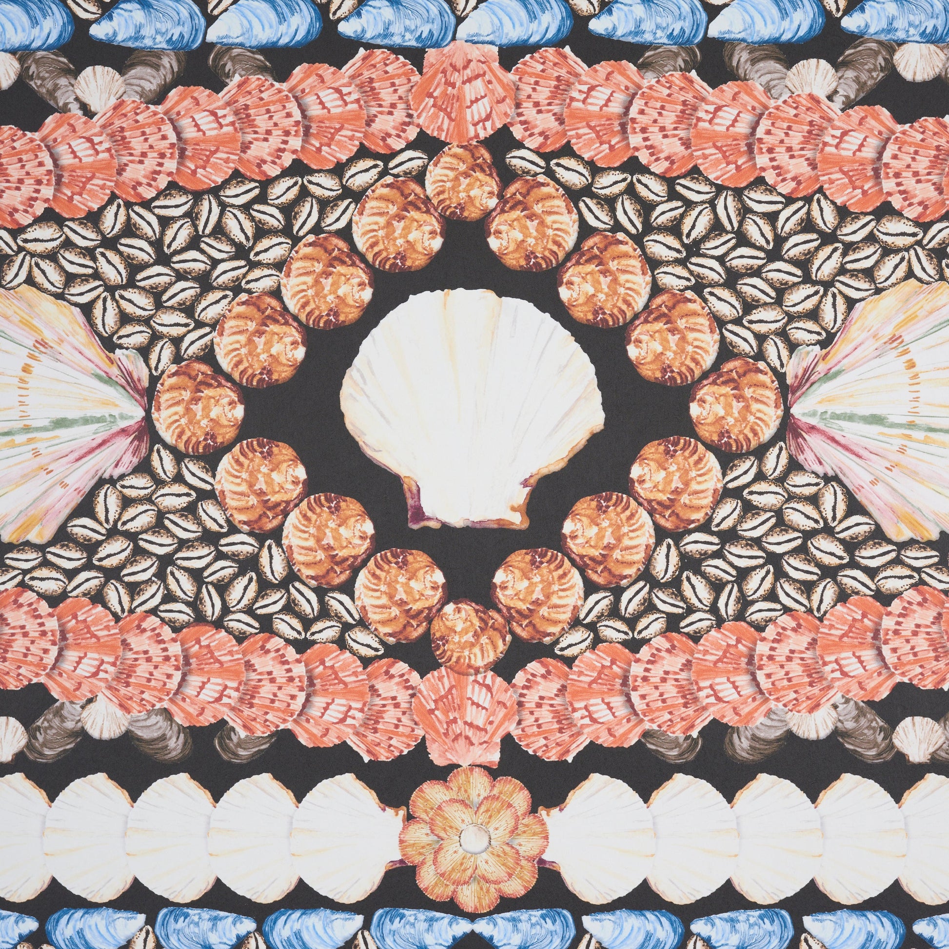 Central white scallop shell surrounded by concentric bands of orange, gray and white shells in a mandala-like pattern.