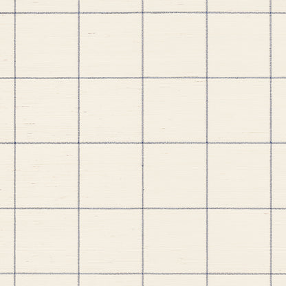 SCHUMACHER  TEXTURED WALLCOVERINGS & PRINTED GRASSCLOTHS WINDOWPANE EMBROIDERED SISAL   NAVY   - 5015200