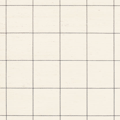 SCHUMACHER  TEXTURED WALLCOVERINGS & PRINTED GRASSCLOTHS WINDOWPANE EMBROIDERED SISAL   CHARCOAL   - 5015202