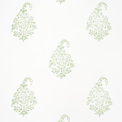 Repeating pale sage-green ornate botanical leaf motifs on white backdrop; wallpaper-style pattern.