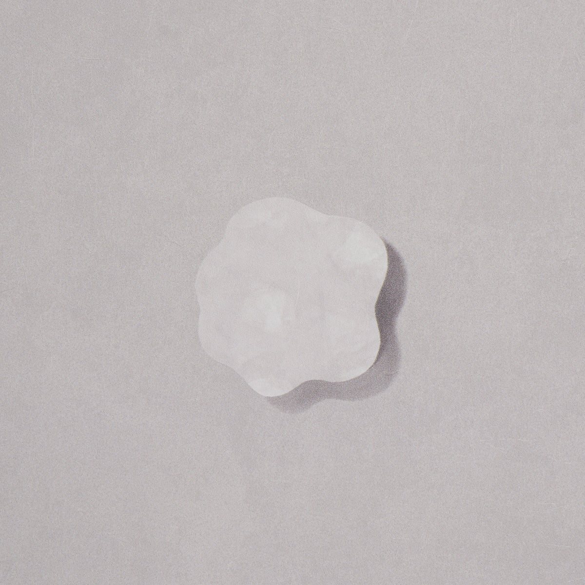 Gray backdrop with an allover pattern of white irregular flower-shaped motifs.