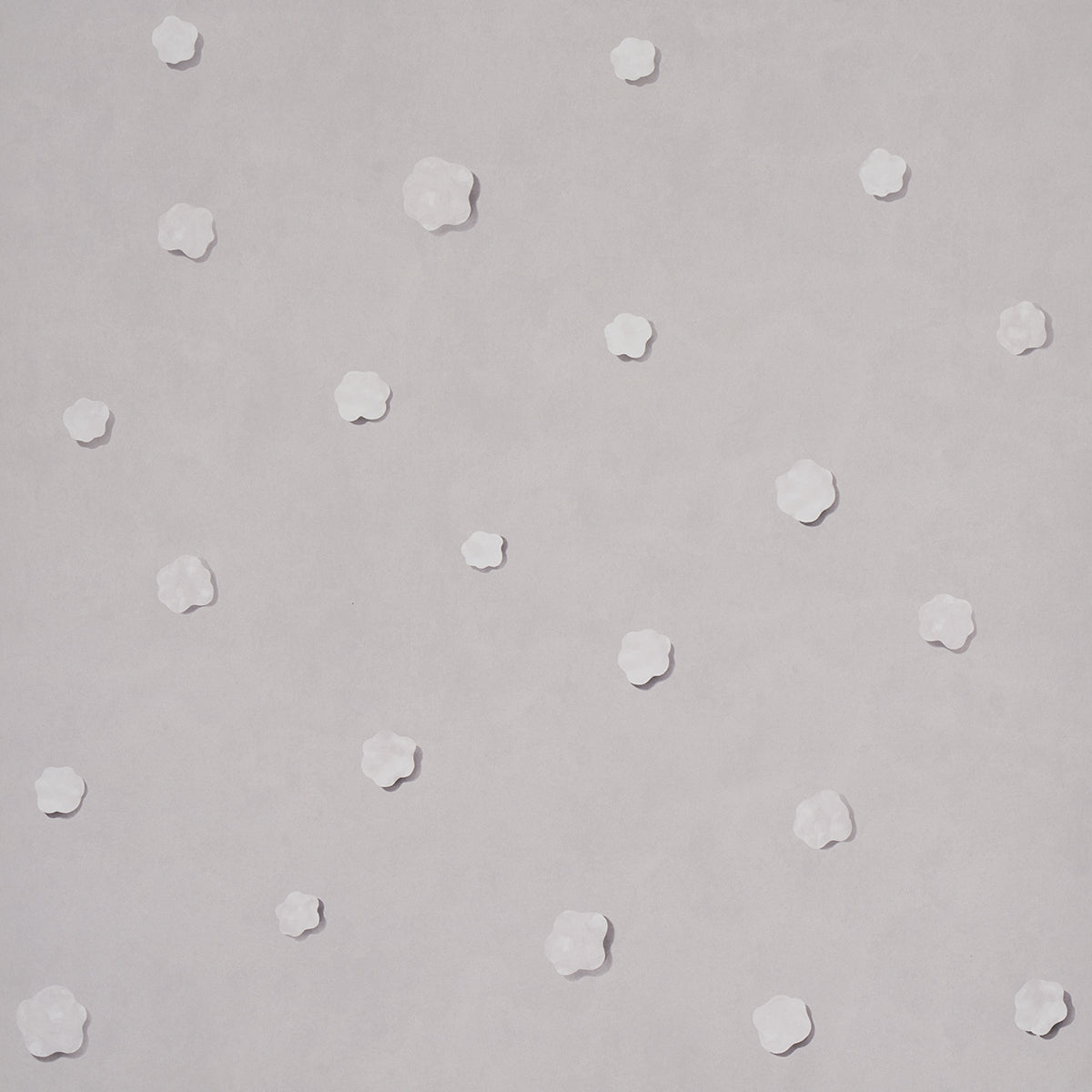 Light gray wallpaper with scattered small white five-petaled flower motifs.