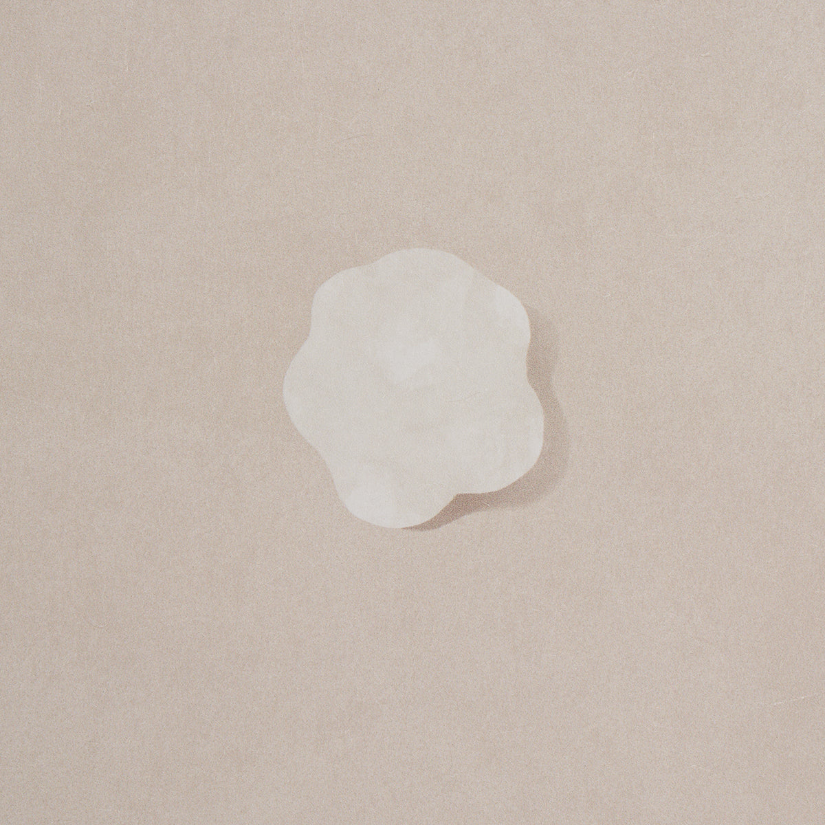 Single white petal on beige background, soft natural floral element for decor or craft.