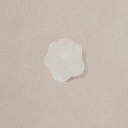 Single white petal on beige background, soft natural floral element for decor or craft.