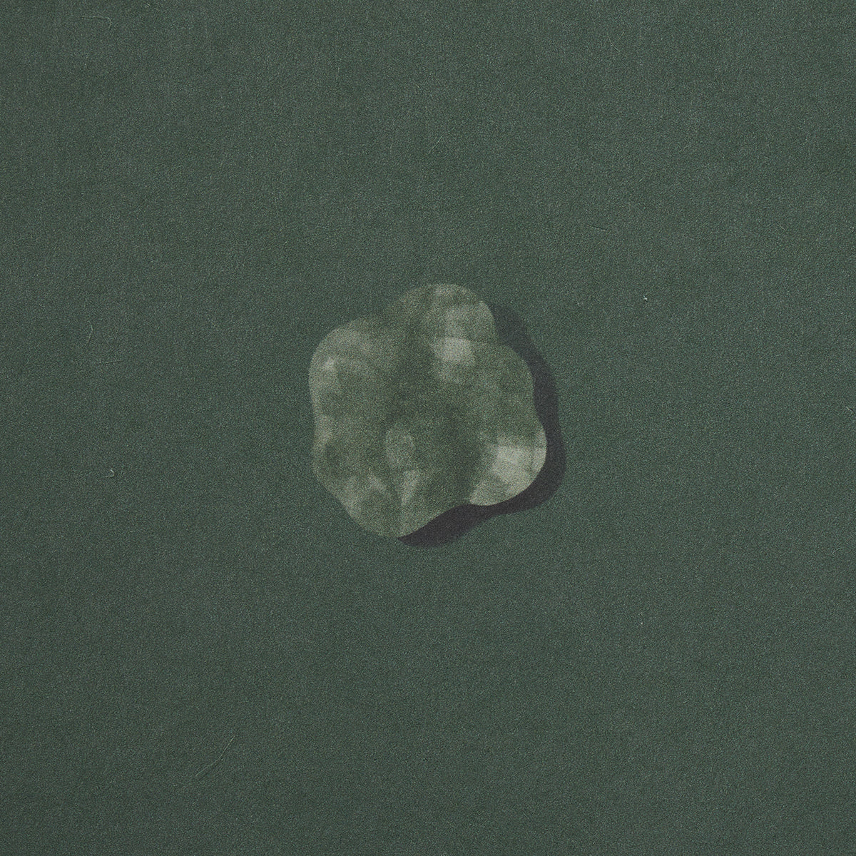 SCHUMACHER  BACKDROP HEAVENLY BODIES   DEEP GREEN   - 5015272