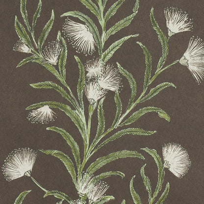 SCHUMACHER  CELERIE KEMBLE TASMANIAN MIMOSA   BROWN ,GREEN   - 5015361